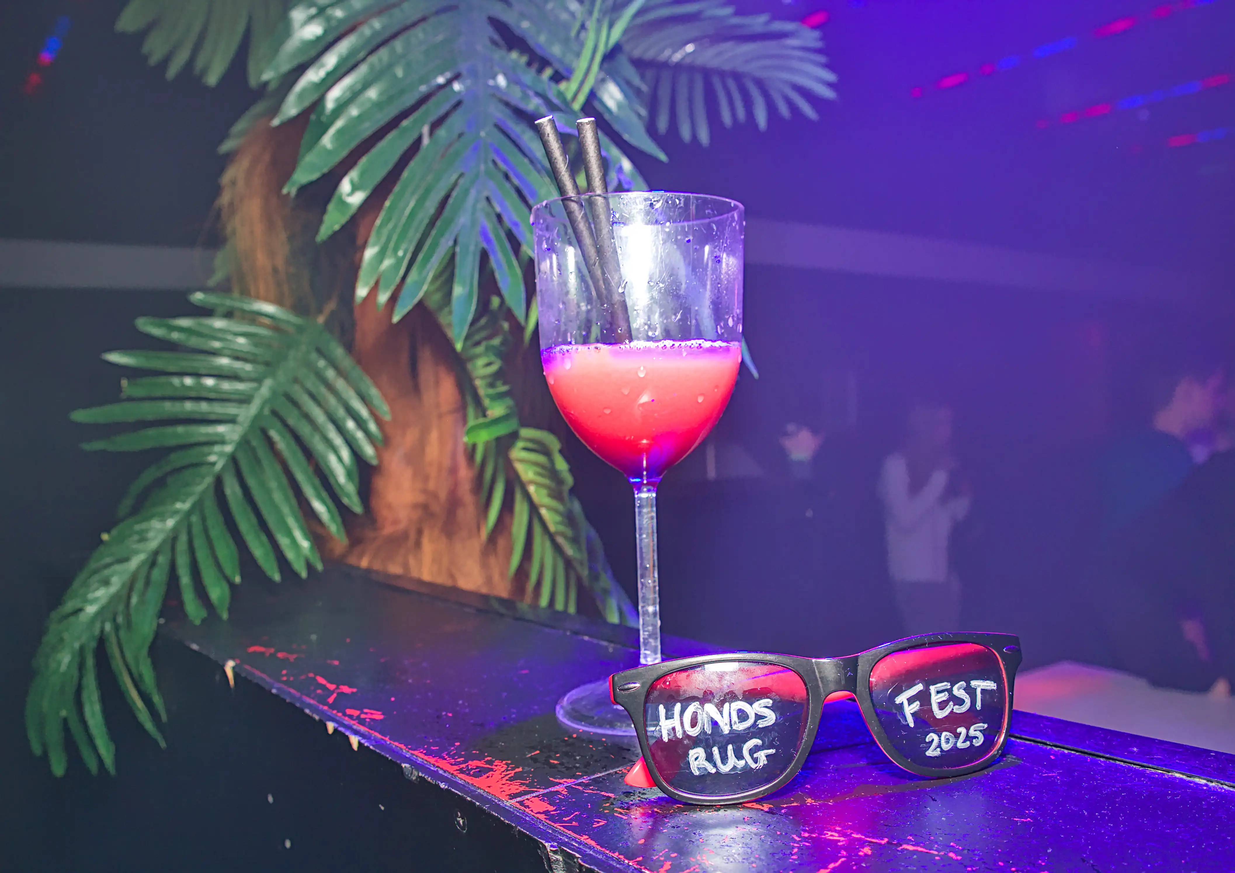 HondsrugFest 2025 — sfeerimpressie 5
